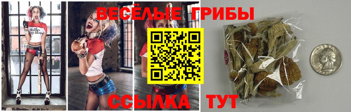 Гусев  Псилоцибиновые грибы прущие грибы  купить наркотик  Галлюциногенные грибы Psilocybine cubensis  Вход с VPN 